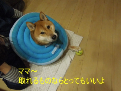 f:id:miyuki1967:20121122093945j:image