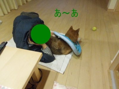 f:id:miyuki1967:20121122093947j:image