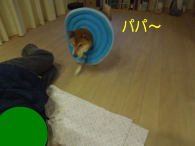 f:id:miyuki1967:20121122093948j:image