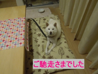 f:id:miyuki1967:20121122093951j:image