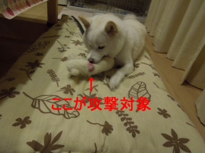 f:id:miyuki1967:20121122093952j:image