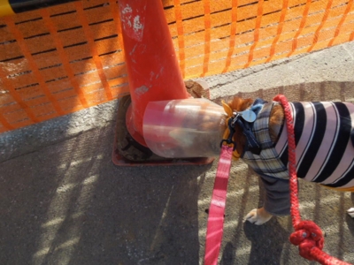 f:id:miyuki1967:20121127124114j:image