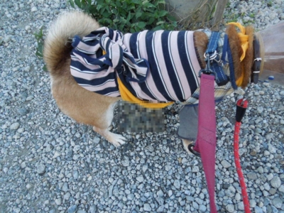 f:id:miyuki1967:20121127124116j:image