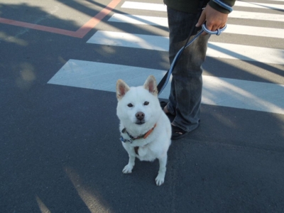 f:id:miyuki1967:20121127124118j:image