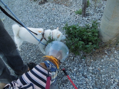 f:id:miyuki1967:20121127124119j:image