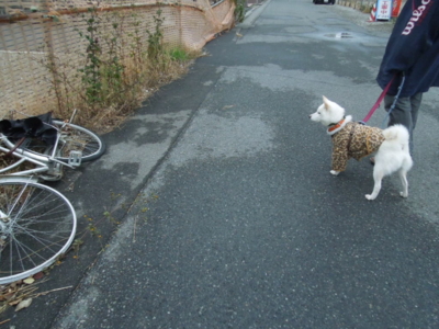 f:id:miyuki1967:20121203070551j:image