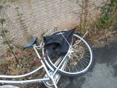 f:id:miyuki1967:20121203070555j:image