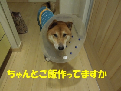 f:id:miyuki1967:20121204112010j:image