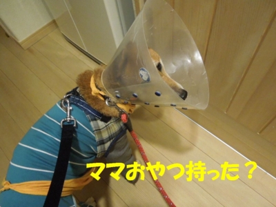 f:id:miyuki1967:20121204112104j:image