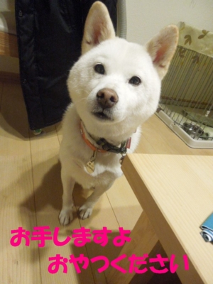 f:id:miyuki1967:20121206094755j:image