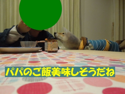 f:id:miyuki1967:20121206094756j:image