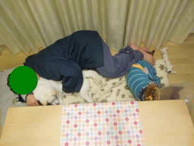 f:id:miyuki1967:20121206094758j:image