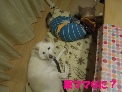 f:id:miyuki1967:20121206094759j:image