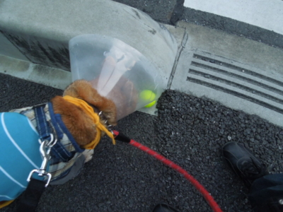 f:id:miyuki1967:20121207064841j:image