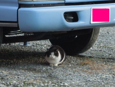 f:id:miyuki1967:20121208103316j:image