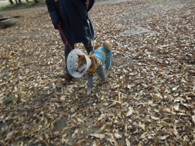 f:id:miyuki1967:20121209124011j:image