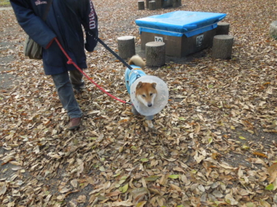 f:id:miyuki1967:20121209124026j:image