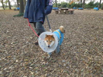 f:id:miyuki1967:20121209124115j:image