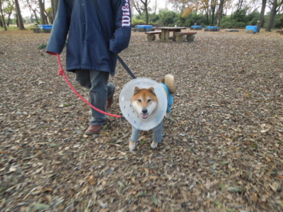 f:id:miyuki1967:20121209124116j:image