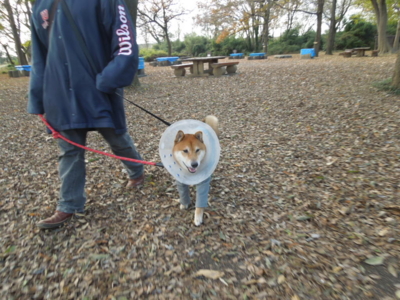 f:id:miyuki1967:20121209124117j:image