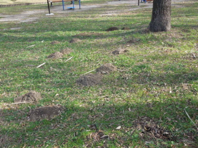 f:id:miyuki1967:20121209125115j:image