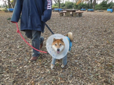 f:id:miyuki1967:20121212105549j:image