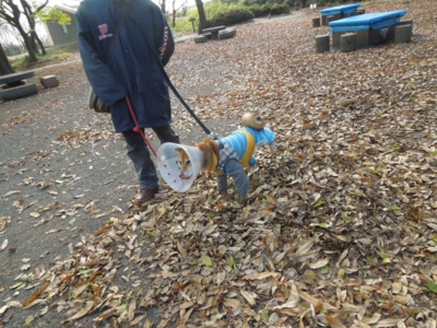 f:id:miyuki1967:20121212111942j:image