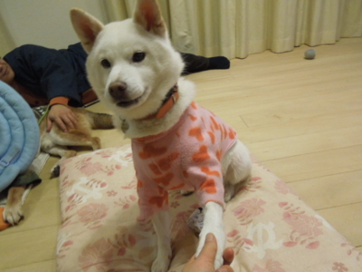 f:id:miyuki1967:20121223204403j:image