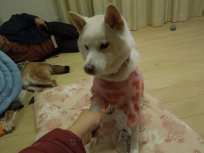 f:id:miyuki1967:20121223204410j:image