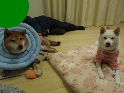 f:id:miyuki1967:20121227160536j:image