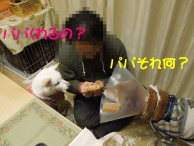 f:id:miyuki1967:20130212115458j:image f:id:miyuki1967:20130212115458j:image