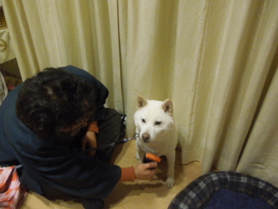 f:id:miyuki1967:20130216221816j:image