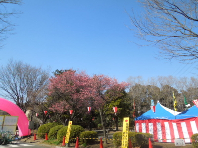 f:id:miyuki1967:20130224124243j:image