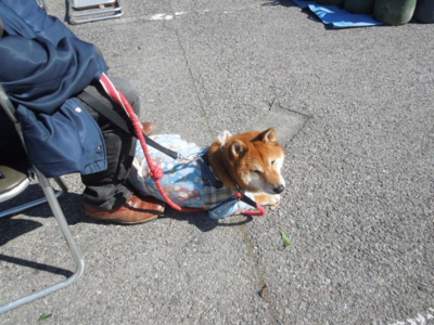 f:id:miyuki1967:20130224125151j:image