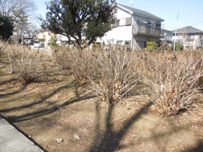 f:id:miyuki1967:20130224130542j:image