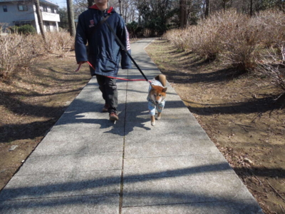 f:id:miyuki1967:20130224130600j:image