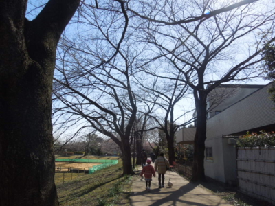 f:id:miyuki1967:20130224130956j:image