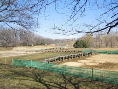 f:id:miyuki1967:20130224131044j:image