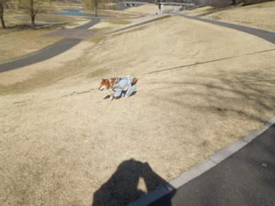 f:id:miyuki1967:20130224131536j:image