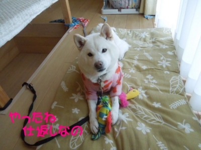 f:id:miyuki1967:20130225105258j:image