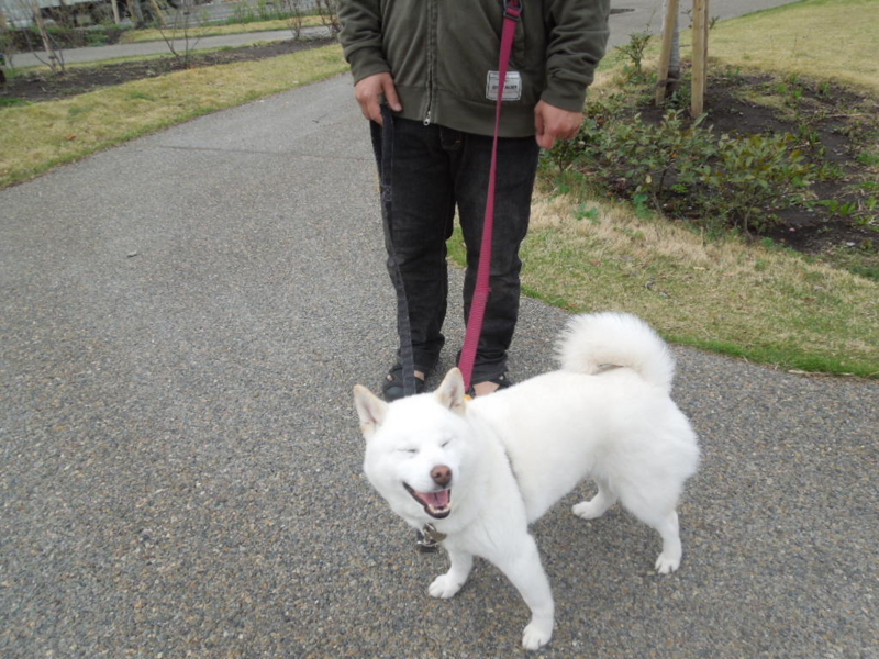 f:id:miyuki1967:20130405070026j:image