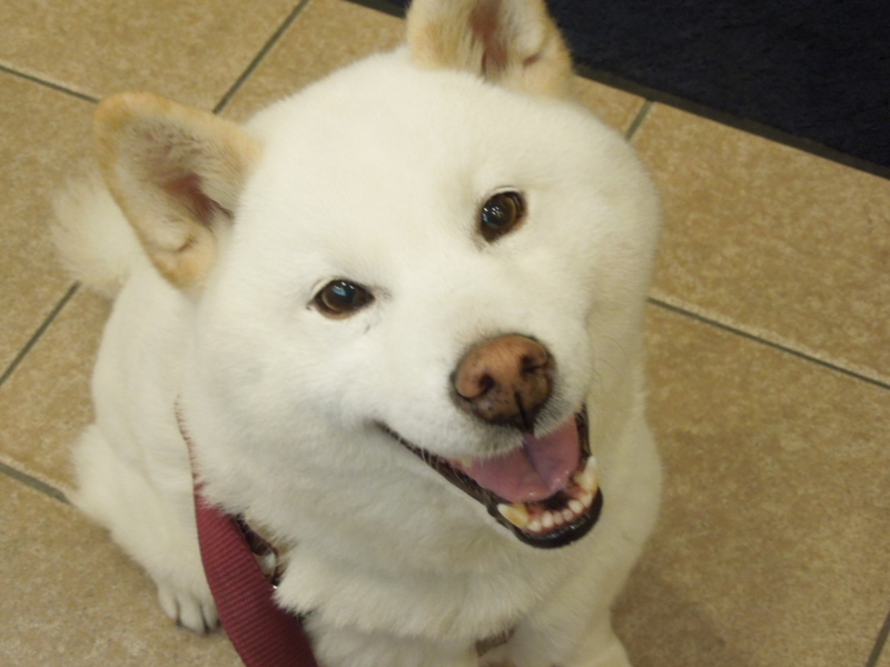 f:id:miyuki1967:20130413191525j:image:w400