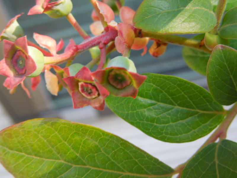 f:id:miyuki1967:20130415080944j:image:w400