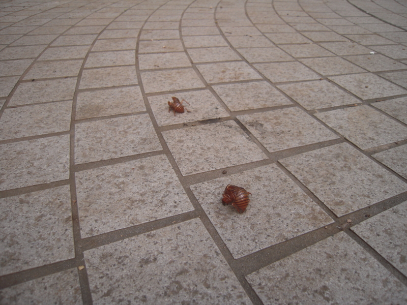 f:id:miyuki1967:20130727070251j:image:w400