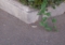 20130811114753