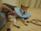 20130814223957