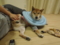 20130814224005