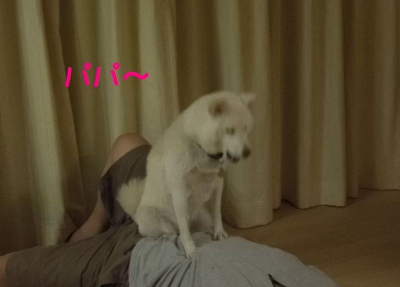 f:id:miyuki1967:20130911102912j:image:w400