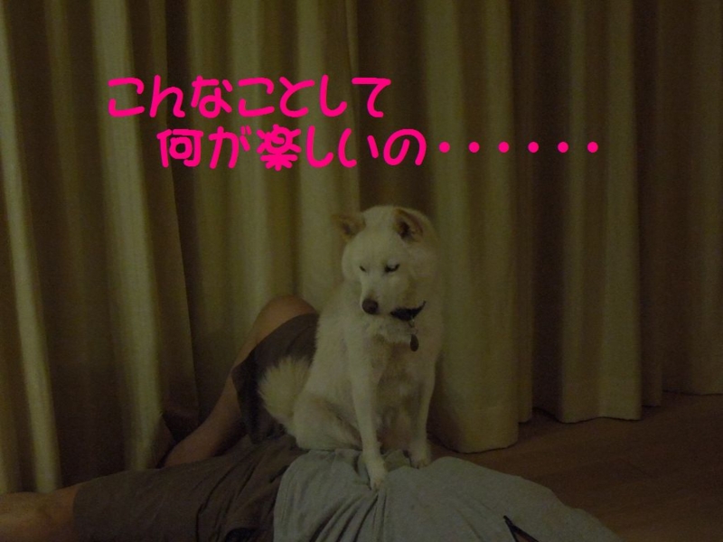 f:id:miyuki1967:20130911103732j:image:w400