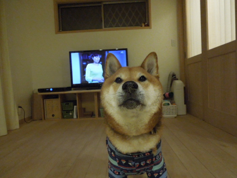 f:id:miyuki1967:20131003214927j:image:w400 f:id:miyuki1967:20131003214927j:image:w400